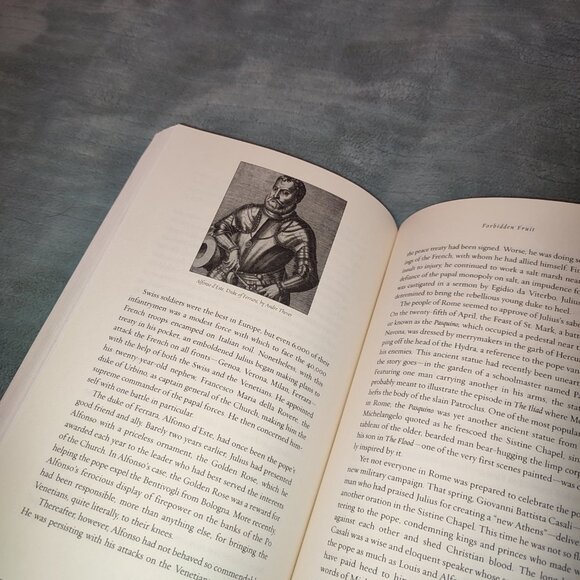 Book Michelangelo and the Pope's Ceiling Ross King New York Times Bestseller - Picture 8 of 16